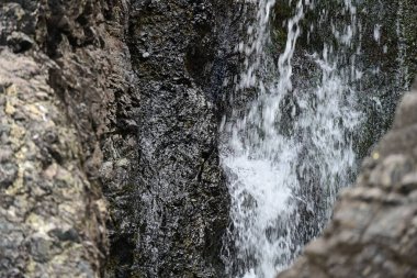 Dağ manzaralı, yemyeşil bir ormana kurulmuş yumuşak bir şelale..