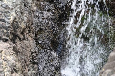 Dağ manzaralı, yemyeşil bir ormana kurulmuş yumuşak bir şelale..