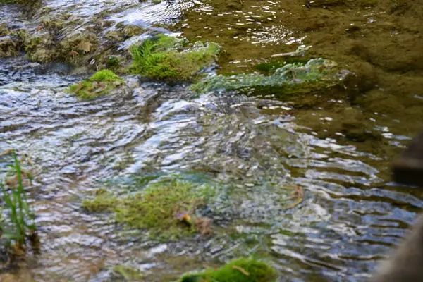 Bir orman şelalesi bir dağ ortamında usulca akıyor..