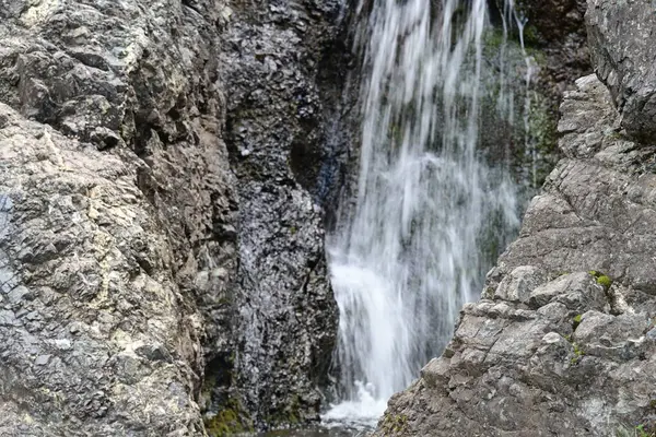 Dağlardaki yemyeşil bir ormandan akan küçük bir çağlayan..
