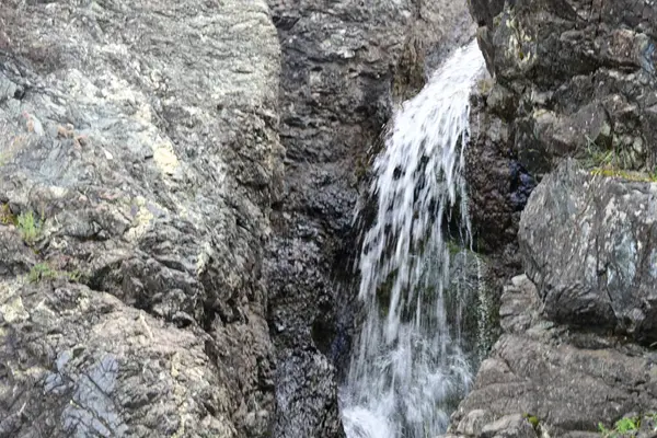 Dağlardaki yemyeşil bir ormandan akan küçük bir çağlayan..