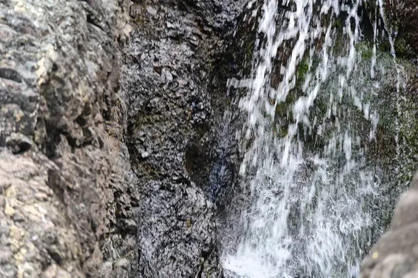 Dağ manzaralı, yemyeşil bir ormana kurulmuş yumuşak bir şelale..