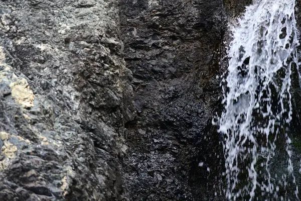 Dağ manzaralı, yemyeşil bir ormana kurulmuş yumuşak bir şelale..