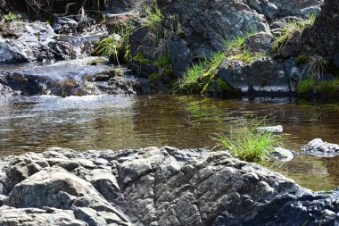 Utangaç bir şelale dağ ormanlarının yapraklarını dikizler..