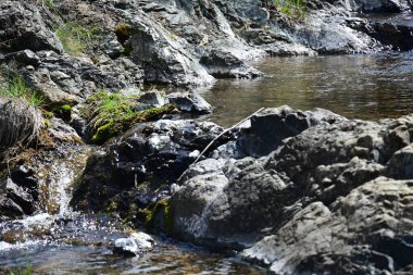 Bereketli dağ bitkilerinden geçen mütevazı bir şelale..