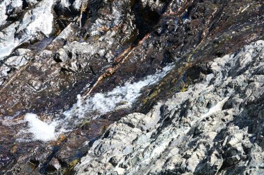 Sakin bir şelale sessiz ormanlık yoldan akıyor.