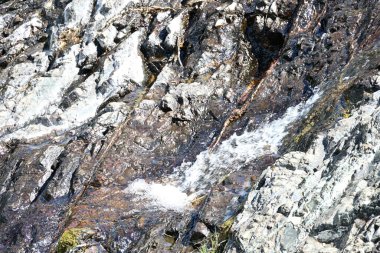 Taze şelale detaylarını vurgulayan yeşil arkaplan