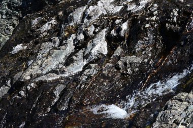 Taze şelale detaylarını vurgulayan yeşil arkaplan