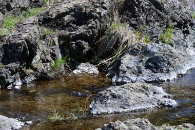 Taze şelale detaylarını vurgulayan yeşil arkaplan