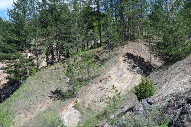 Yaz mevsimlerini gösteren bir gün ışığı fotoğrafı.