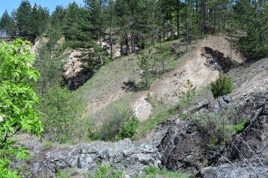 Manzaralı dağları ve yeşil ağaçları olan güzel bir manzara.          