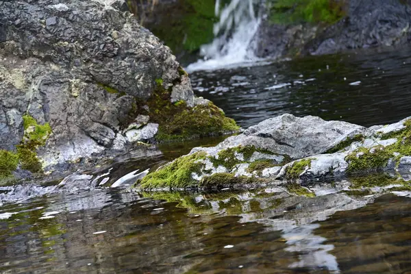Bereketli dağ bitkilerinden geçen mütevazı bir şelale..