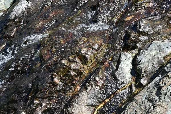 Sakin bir şelale sessiz ormanlık yoldan akıyor.