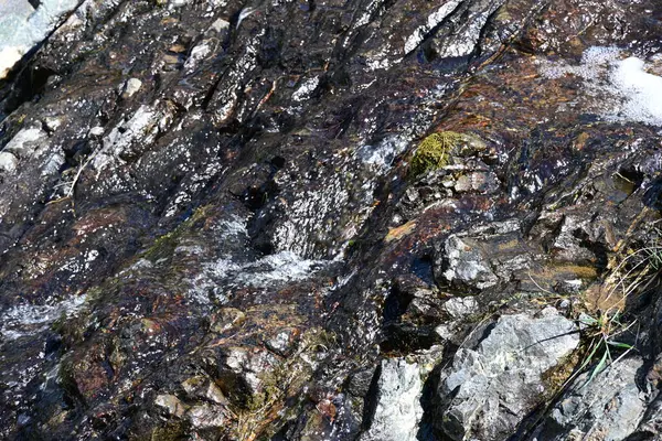 Taze şelale detaylarını vurgulayan yeşil arkaplan