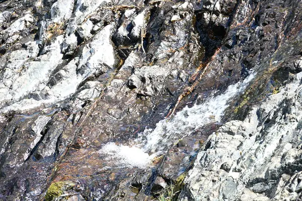 Taze şelale detaylarını vurgulayan yeşil arkaplan