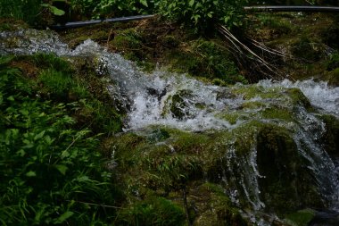 Bereketli yeşillik, saf çağlayan orman şelalesi çerçevesi.
