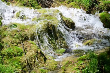 Sessiz ormanlık kayalarda dans eden narin damlacıklar.