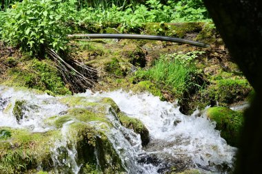 Sessiz ormanlık kayalarda dans eden narin damlacıklar.