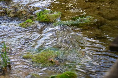 Engebeli tepelerin altındaki bir zümrüt ormanında sessiz bir su düşüşü.