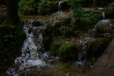 Kalın yapraklarla çevrili zarif şelale ayrıntıları.