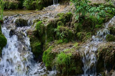 Orman akıntısından yükselen taze doğal sprey.