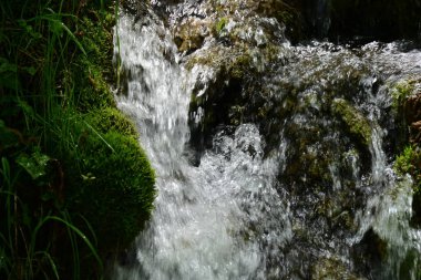 Bereketli orman manzarasında rüya gibi su dokuları