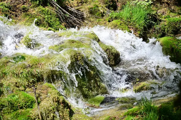 Sessiz ormanlık kayalarda dans eden narin damlacıklar.
