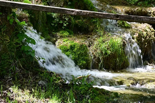 Yeşil ormanda akan küçük şelale