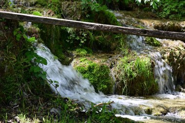 Taze yosun ve yapraklarla çerçevelenmiş kristal berrak şelale