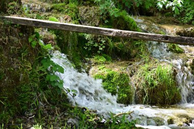 Yumuşak orman ışığı yumuşak şelale akıntısında parlıyor.