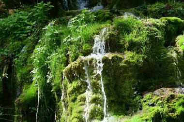 Narin su akıntısı yosun tutmuş kayaların üzerine düşüyor.