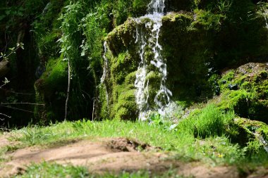 Narin su akıntısı yosun tutmuş kayaların üzerine düşüyor.