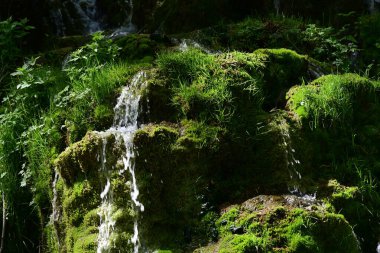 Ferahlatıcı orman atmosferinde sessiz, doğal bir şelale