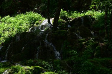 Ferahlatıcı orman atmosferinde sessiz, doğal bir şelale