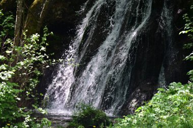 Yeşil yapraklarla çevrili el değmemiş şelalenin yakın görüntüsü