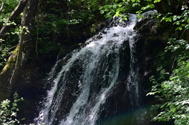 Yeşil yapraklarla çevrili el değmemiş şelalenin yakın görüntüsü
