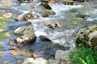 Dağlık bir arazide yeşil ağaçların arasından akan hafif bir şelale.. 
