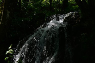 Dağlardaki güzel şelale manzarası            