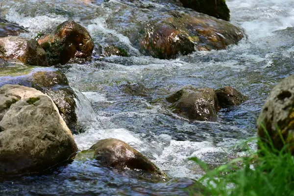 Orman tepelerinin yapraklarında gizlenmiş küçük bir şelale..