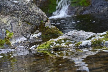 Dağlardaki güzel şelale manzarası            