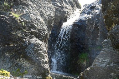Yumuşak gün ışığında berrak bir orman şelalesi manzarası