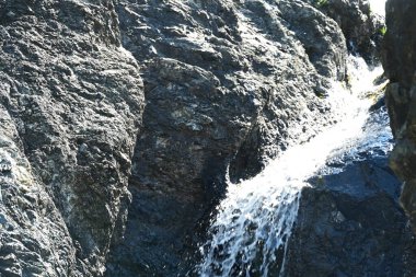 Ormandaki güzel şelalenin detaylı görüntüsü