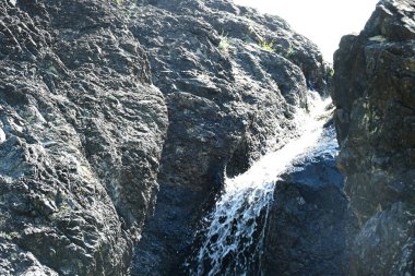Ormandaki güzel şelalenin detaylı görüntüsü
