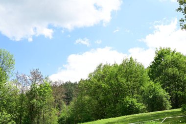 Yeşil dağ ormanlarının güzel manzarası, doğa kavramı.                              