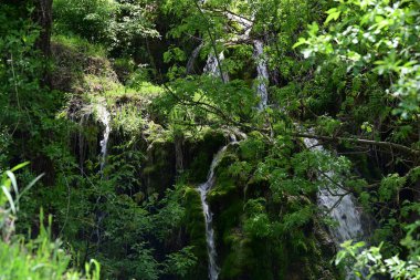 Serene su hattı yosun kaplı arazide ilerliyor