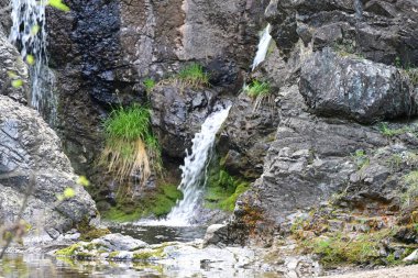 Doğal uyum içinde suyun hassas düşüşü.