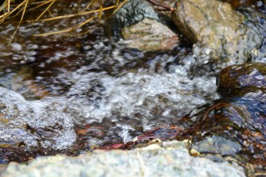 Bir dağ yamacının yeşilliğinin ortasında küçük bir su damlası..