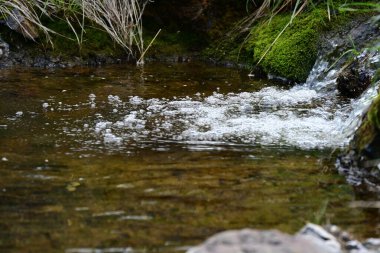 Minyatür bir şelale orman yeşili zemin üstüne kurulmuş..
