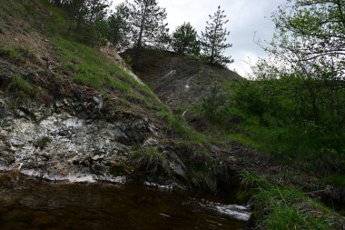 Ormandaki dağlara dökülen zarif bir su akıntısı.