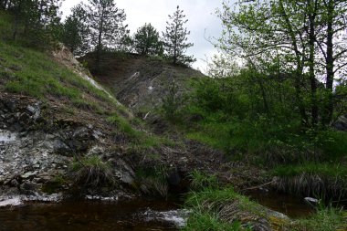 Bir dağ yamacının yeşilliğinin ortasında küçük bir su damlası..